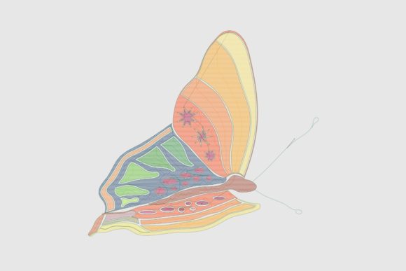 Bright November Butterfly: A Pro Review for Branding