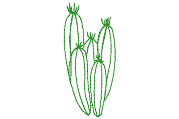Southwestern Cactus Outline: A Summer Holiday Stitch Review