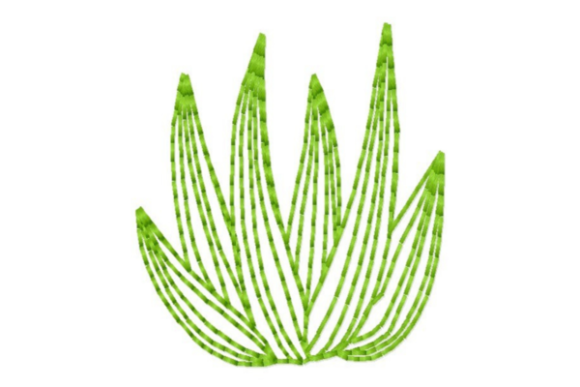 Succulent Leaves Outline: A Designer's Review for Business Merch